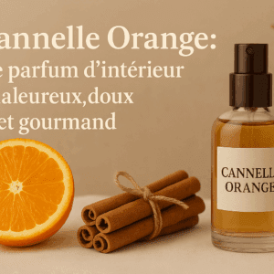 cannelle orange spray badine parfum d'ambiance, pulvérisateur parfum d'intérieur