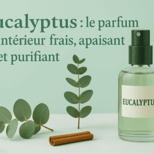Eucalyptus spray badine parfum d'ambiance, pulvérisateur parfum d'intérieur