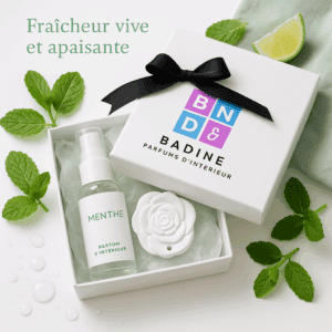céramique parfumée menthe badine parfum d'intérieur parfum d'ambiance