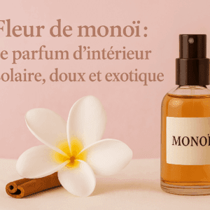 spray monoi spray badine parfum d'ambiance, pulvérisateur parfum d'intérieur
