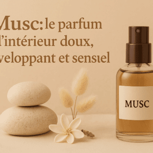 spray musc spray badine parfum d'ambiance, pulvérisateur parfum d'intérieur