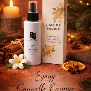 L'air de badine, parfums d'ambiance, parfums d'intérieur, spray parfumé pulvérisateur brume cannelle orange