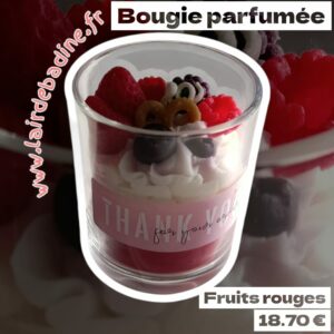 bougies parfumées parfum d'intérieur idéal pour bureaux parfums d'ambiance glace peche blanche caramel et speculoos
